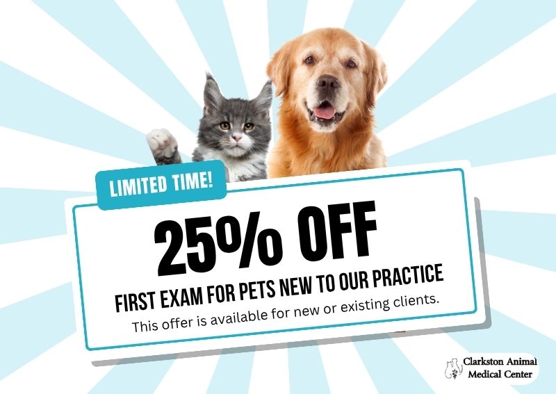 Carousel Slide 1: Book Today >