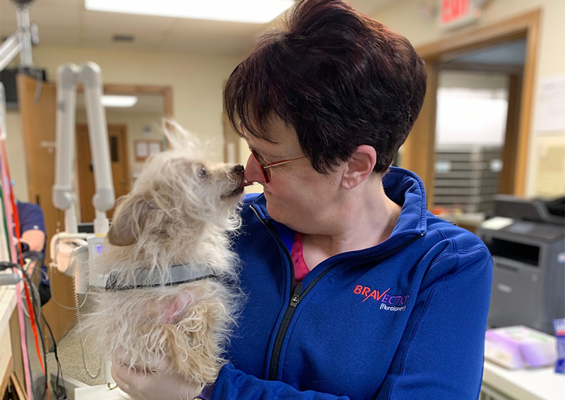 Dog Veterinary Care, Clarkston MI